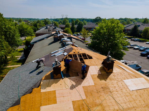 Best Local Roofing Companies  in Roxana, IL