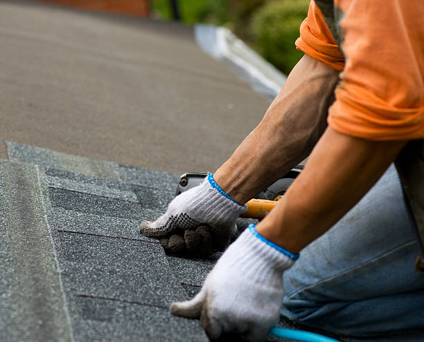 Best Roofing Contractor Near Me  in Roxana, IL
