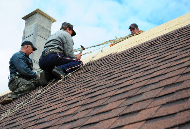 Best Roof Gutter Cleaning  in Roxana, IL